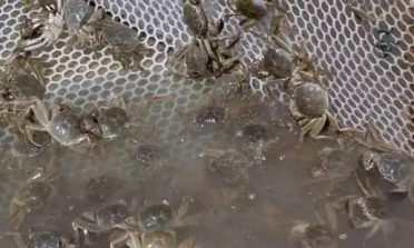 點擊瀏覽下一頁